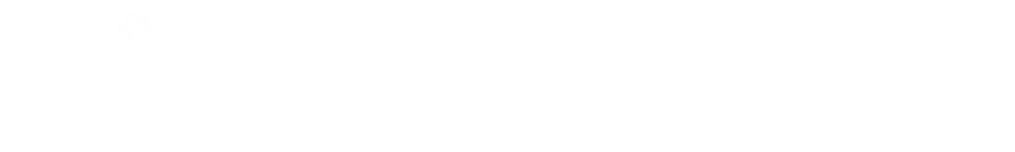 Ammodernare